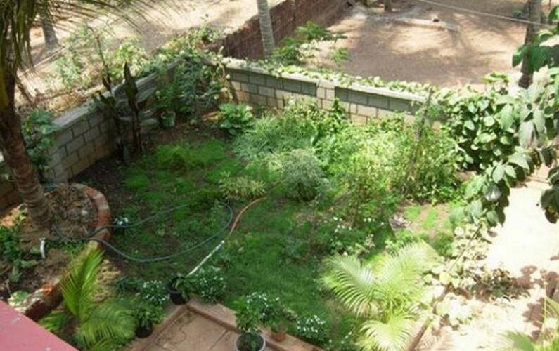 Fort View Bed & Breakfast, Malvan 5
